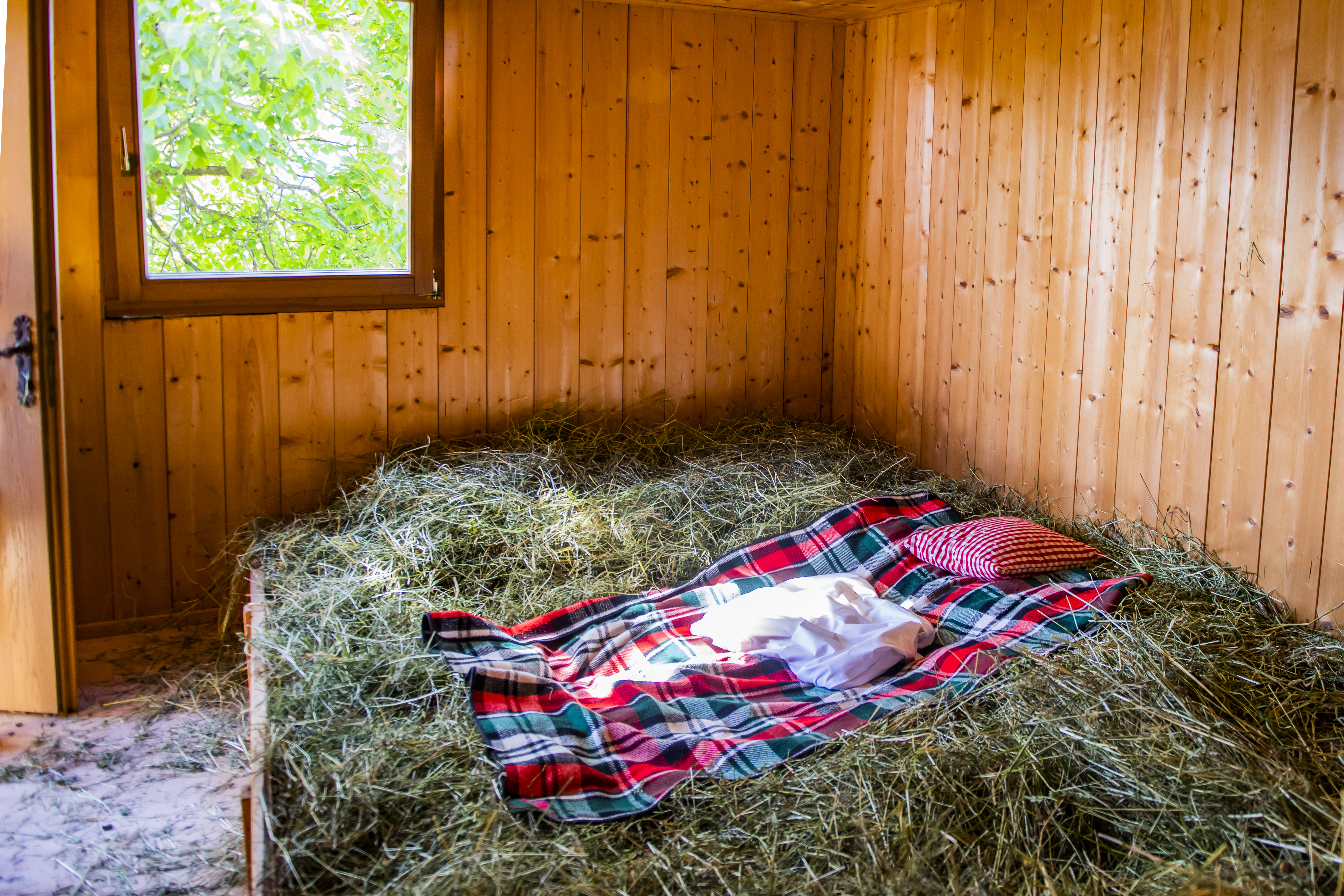 Ferien Bauernhof: Lechnerhof 