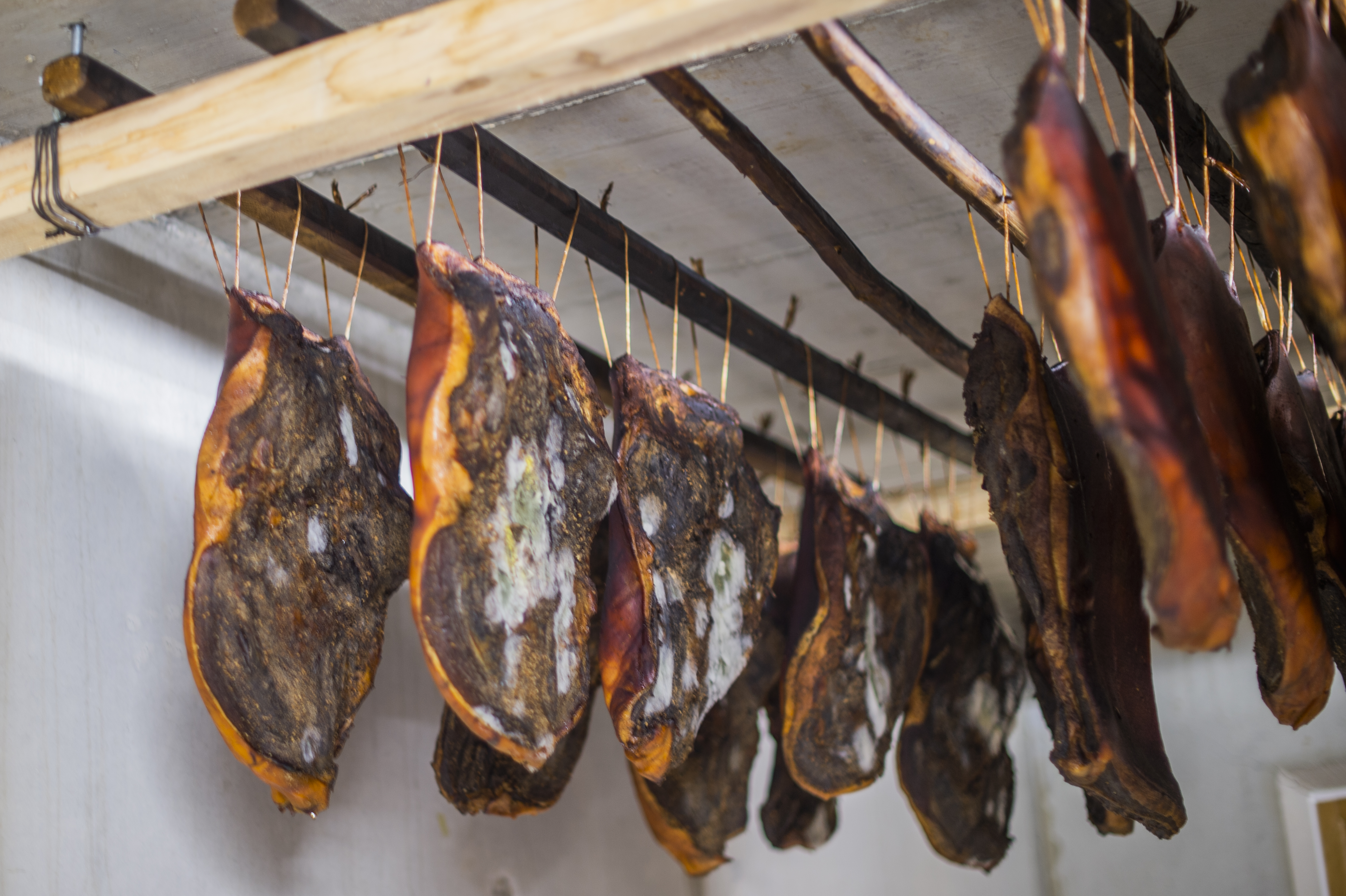 Ferien Bauernhof: Lechnerhof 