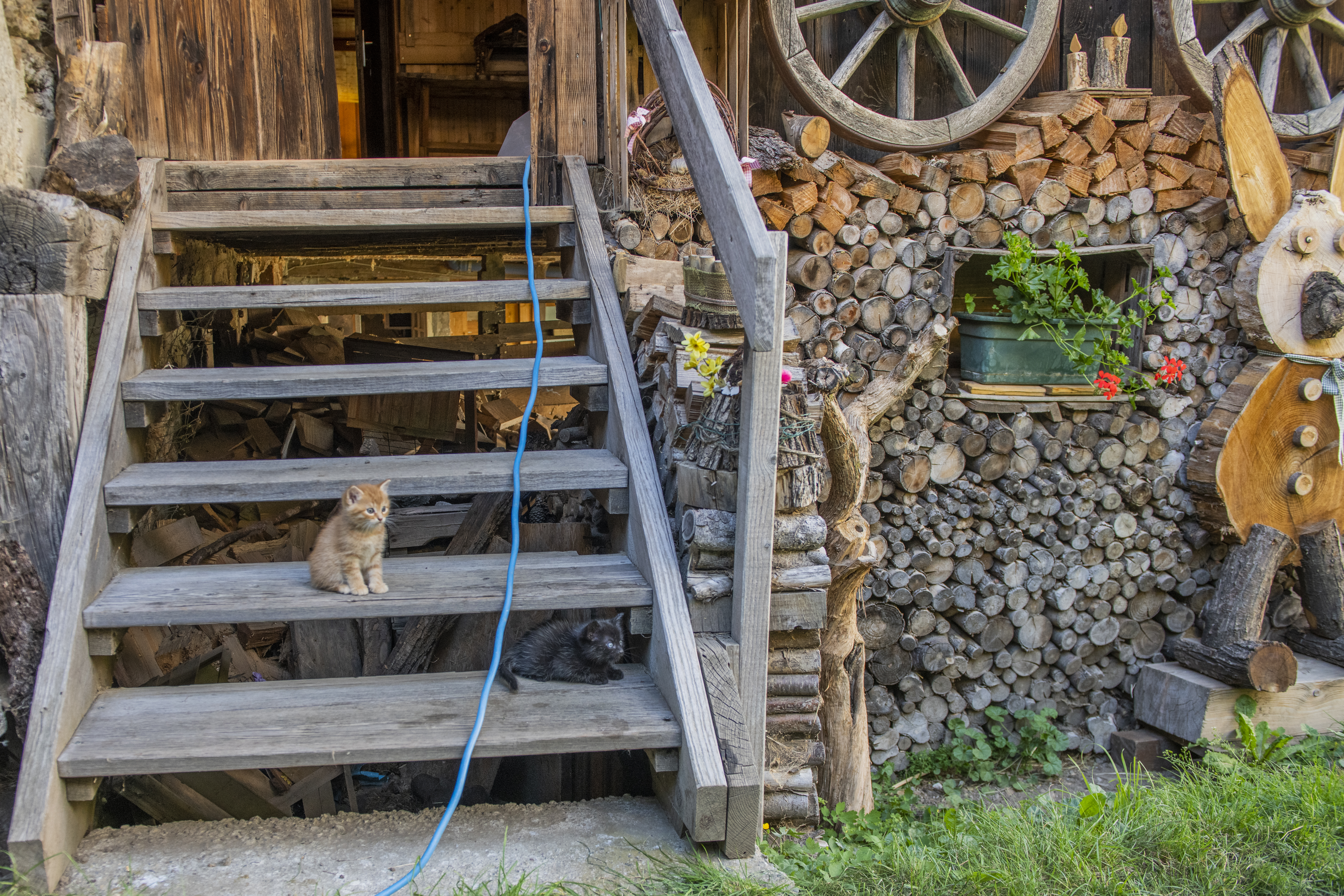 Ferien Bauernhof: Lechnerhof 