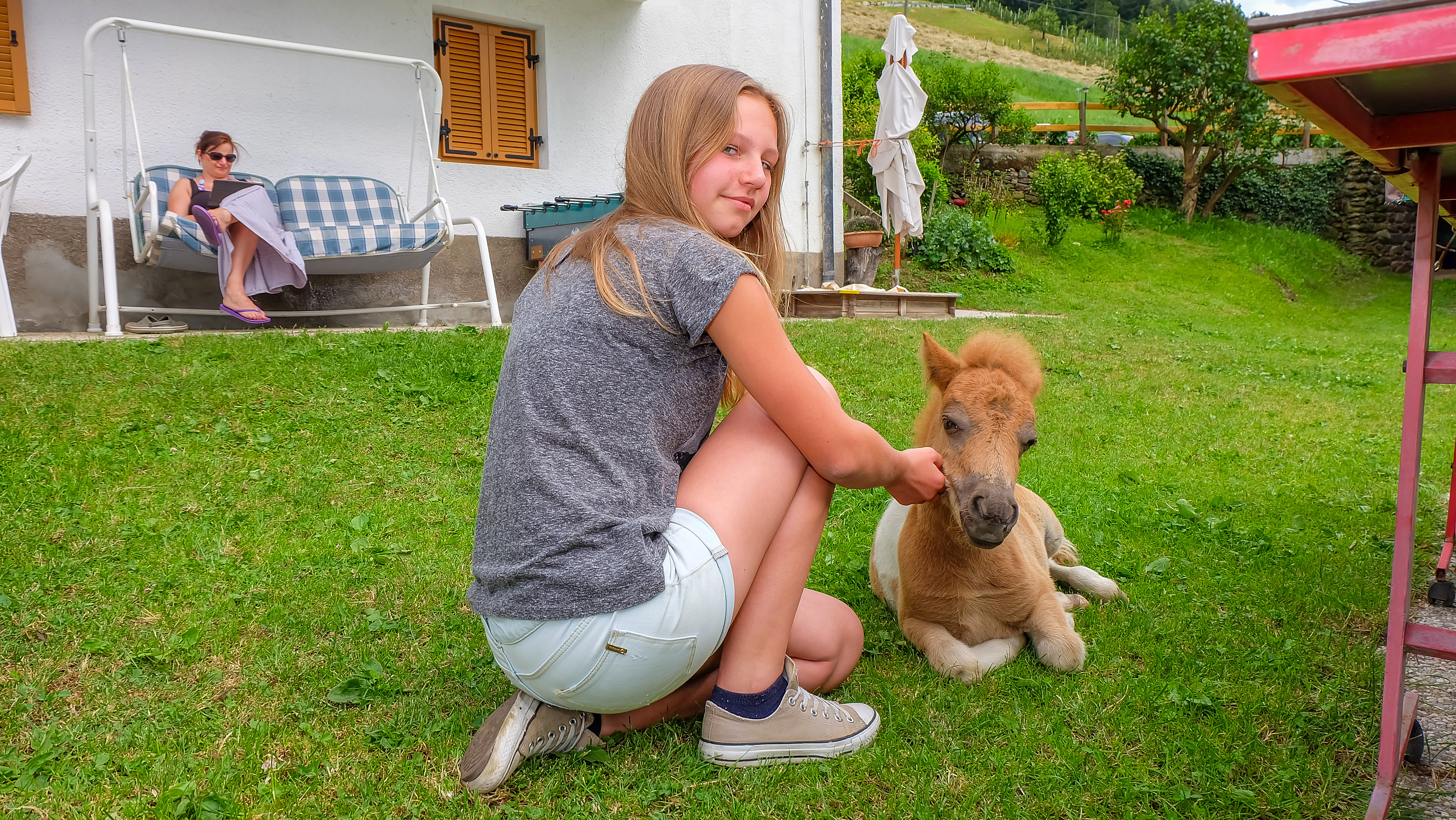 Lechnerhof  unsere Tiere 