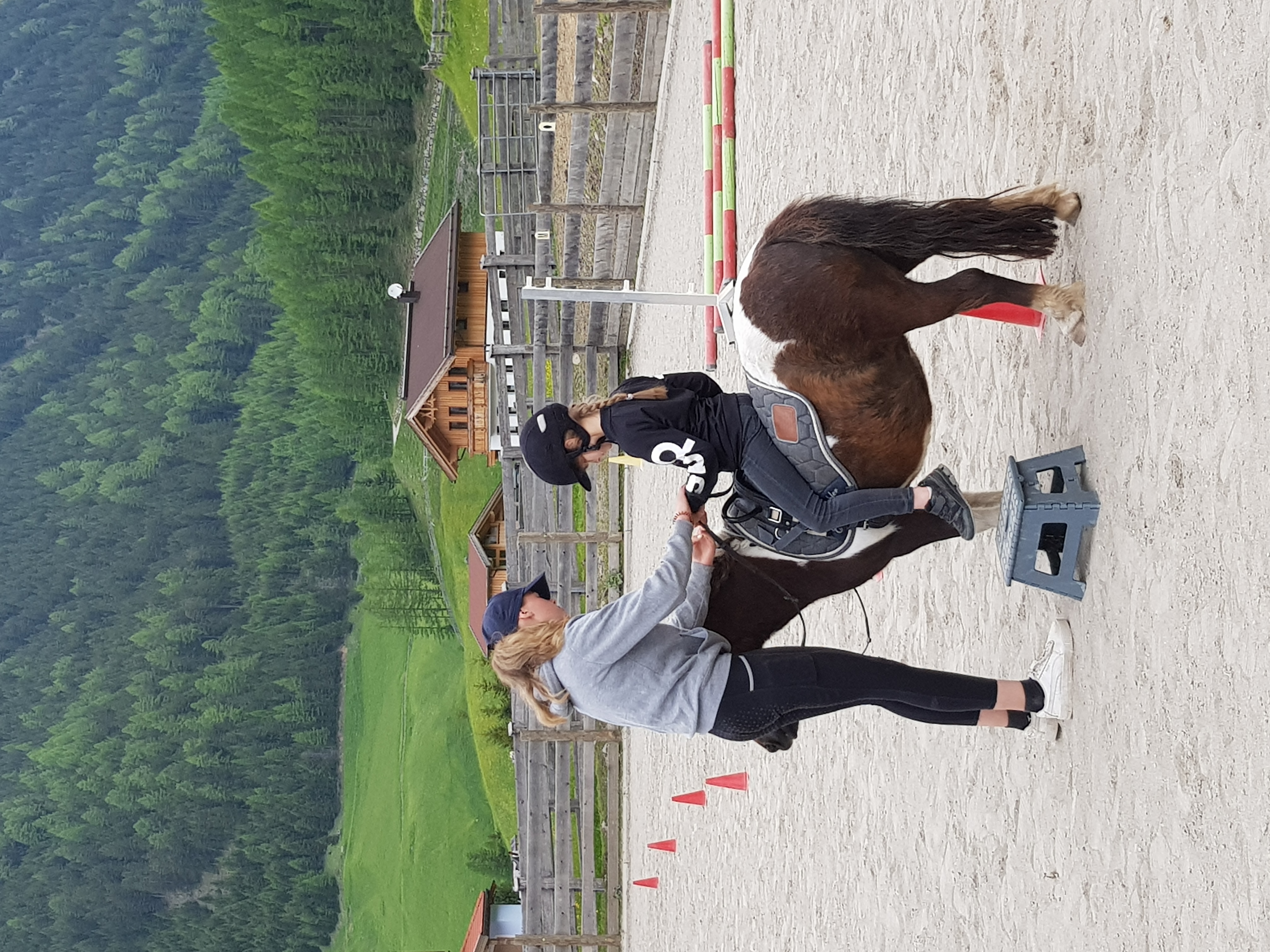 Urlaub auf dem Bauernhof - Shetty Lola ist beliebt bei alle Kindern - Reiter- & Alpakahof Alpin Appart