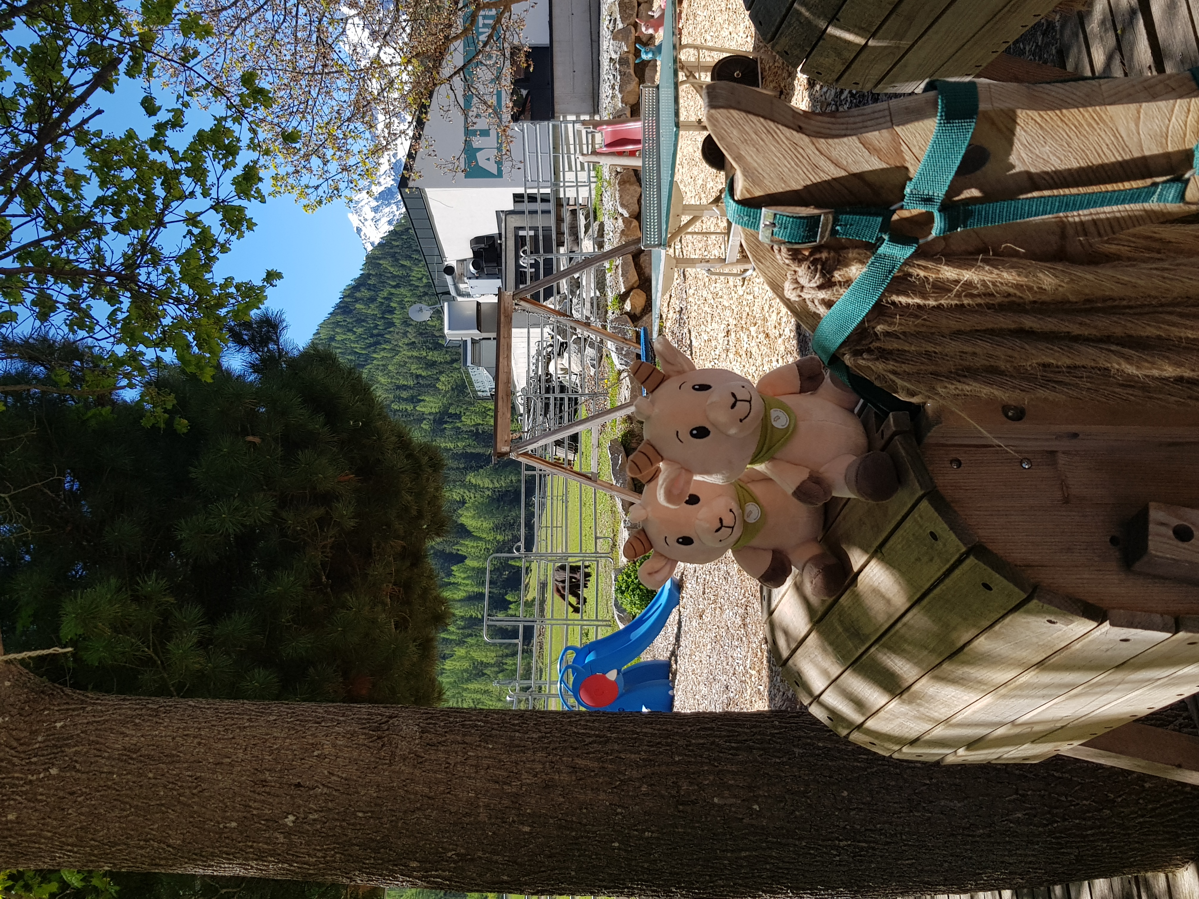 Urlaub auf dem Bauernhof - Reiter- & Alpakahof Alpin Appart