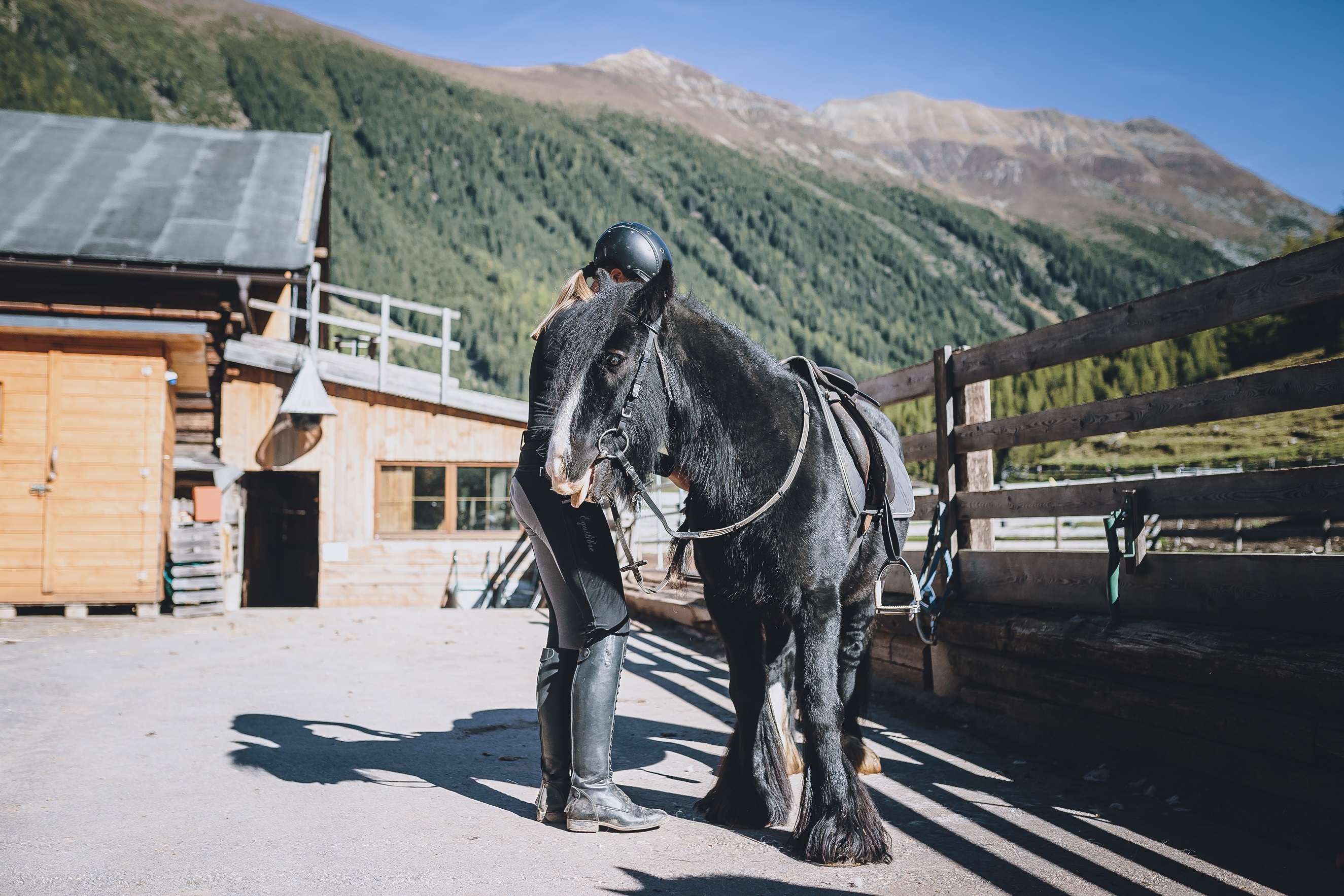 Ferien Bauernhof: Reiter- & Alpakahof Alpin Appart