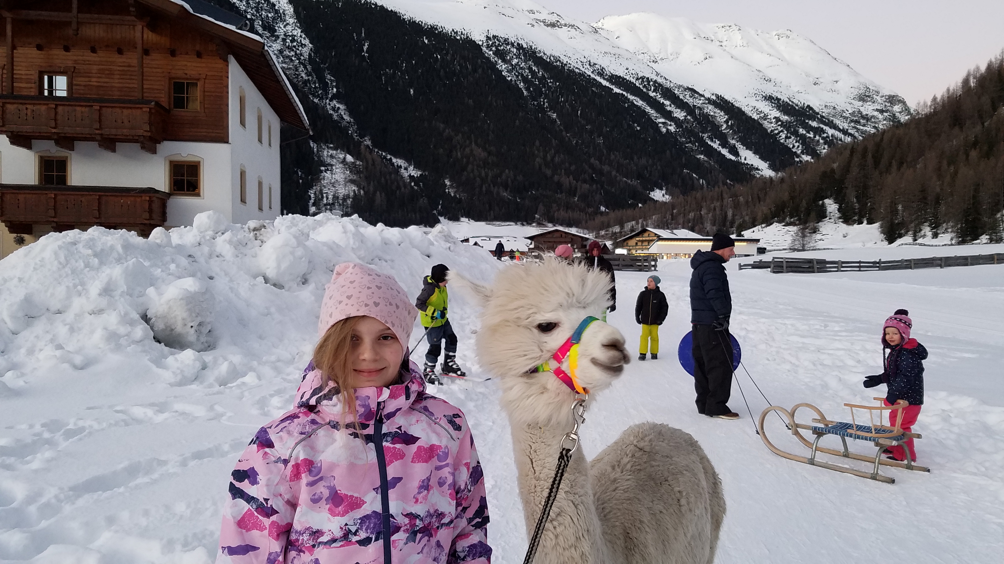 Ferien Bauernhof: Kostenlose Lama-Alpakawanderung - Reiter- & Alpakahof Alpin Appart