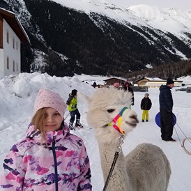 Ferien Bauernhof: Kostenlose Lama-Alpakawanderung - Reiterhof Alpin Appart