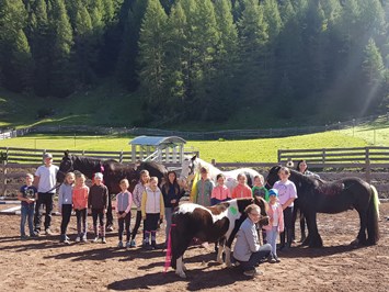 Reiterhof Alpin Appart unsere Tiere Pferde / Ponys