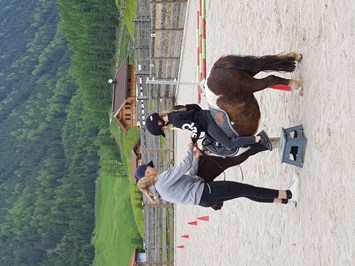 Reiterhof Alpin Appart I nostri animali Lezioni di equitazione per grandi e piccini