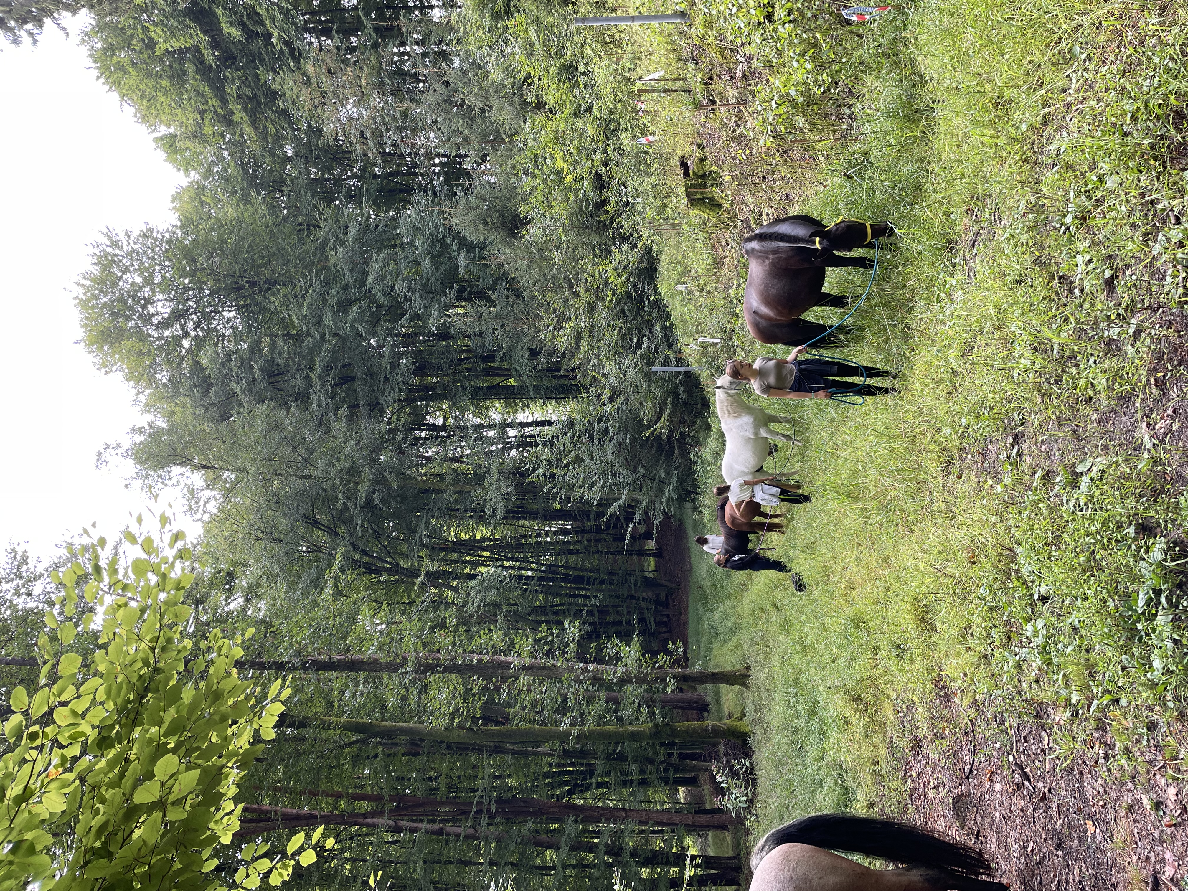 Ferien Bauernhof: Zahlreiche Spazierwege befinden sich rund um das Naturgut.  - NaturGut Kunterbunt 