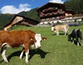 Ferien Bauernhof: Tiere am Wachtlerhof - Bauernhof Wachtlerhof
