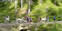 Urlaub auf dem Bauernhof - Kostenlose Lama-Alpakawanderung - Reiterhof Alpin Appart Pfingstreitwoche für Kinder