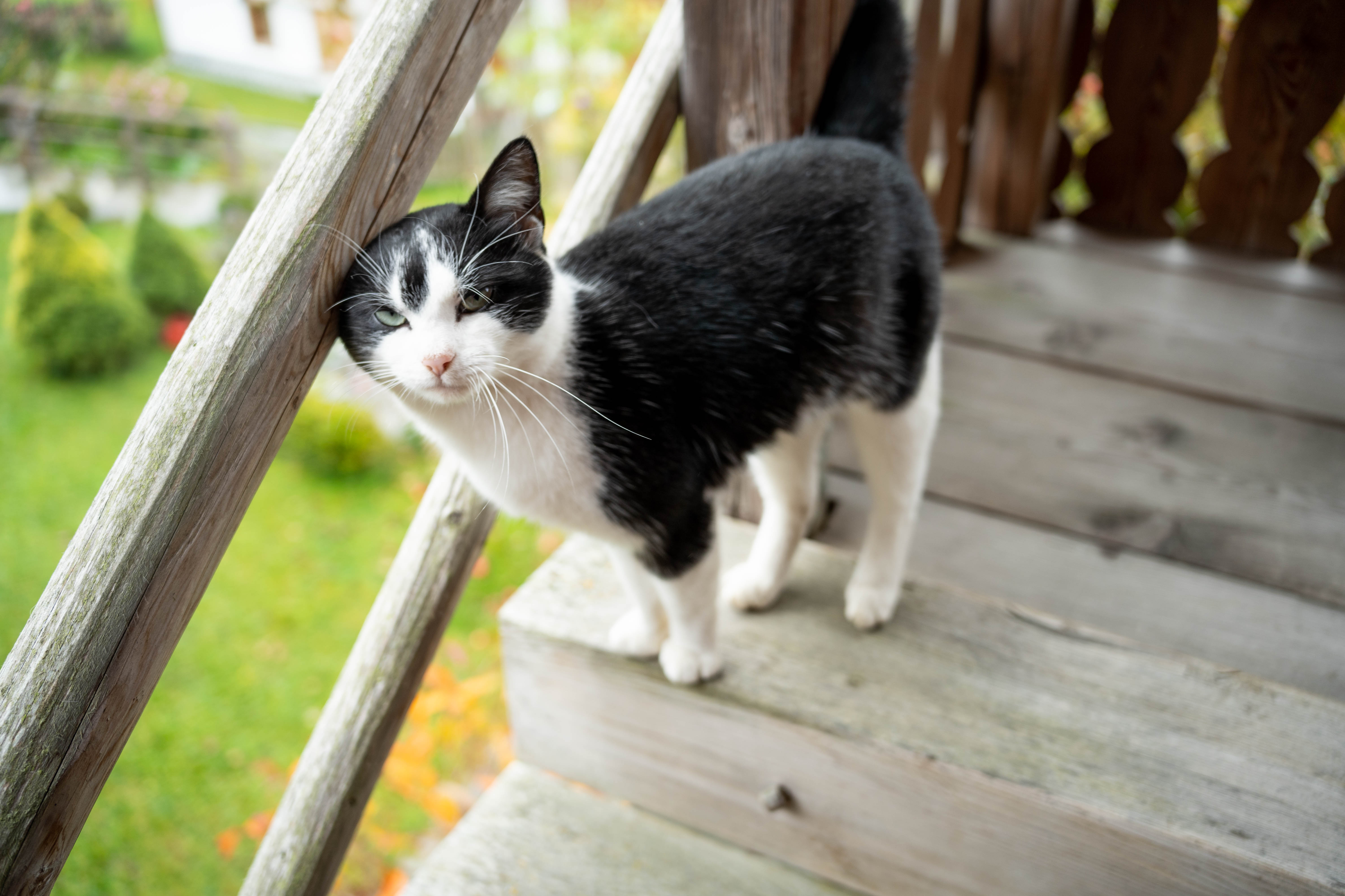 vacanza in fattoria - erreichbar mit: Auto - Schloif Troadkastn