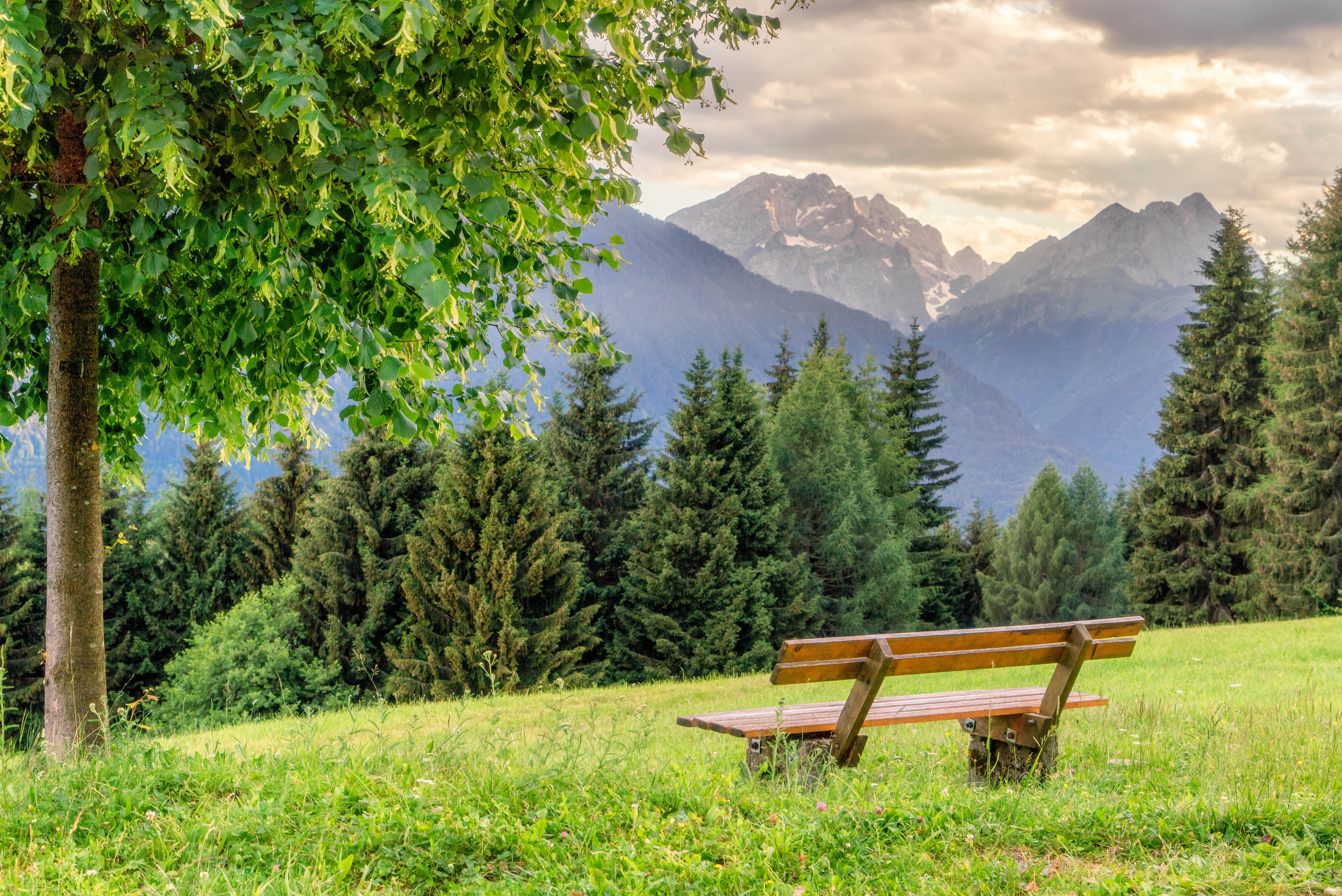 vakantie op de boerderij - Streichelzoo - Oostenrijk - Verweile, du bist hier nur kurz zu Besuch - Hauserhof am Goldberg