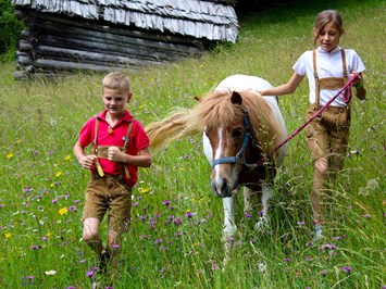 Hauserhof am Goldberg Our animals pony