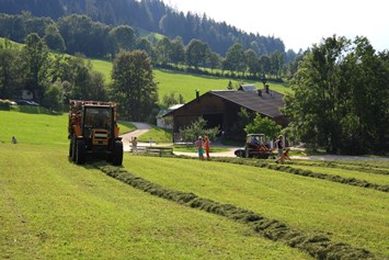 Ferien Bauernhof: Heuernte - Großwolfing