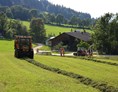 Ferien Bauernhof: Heuernte - Großwolfing