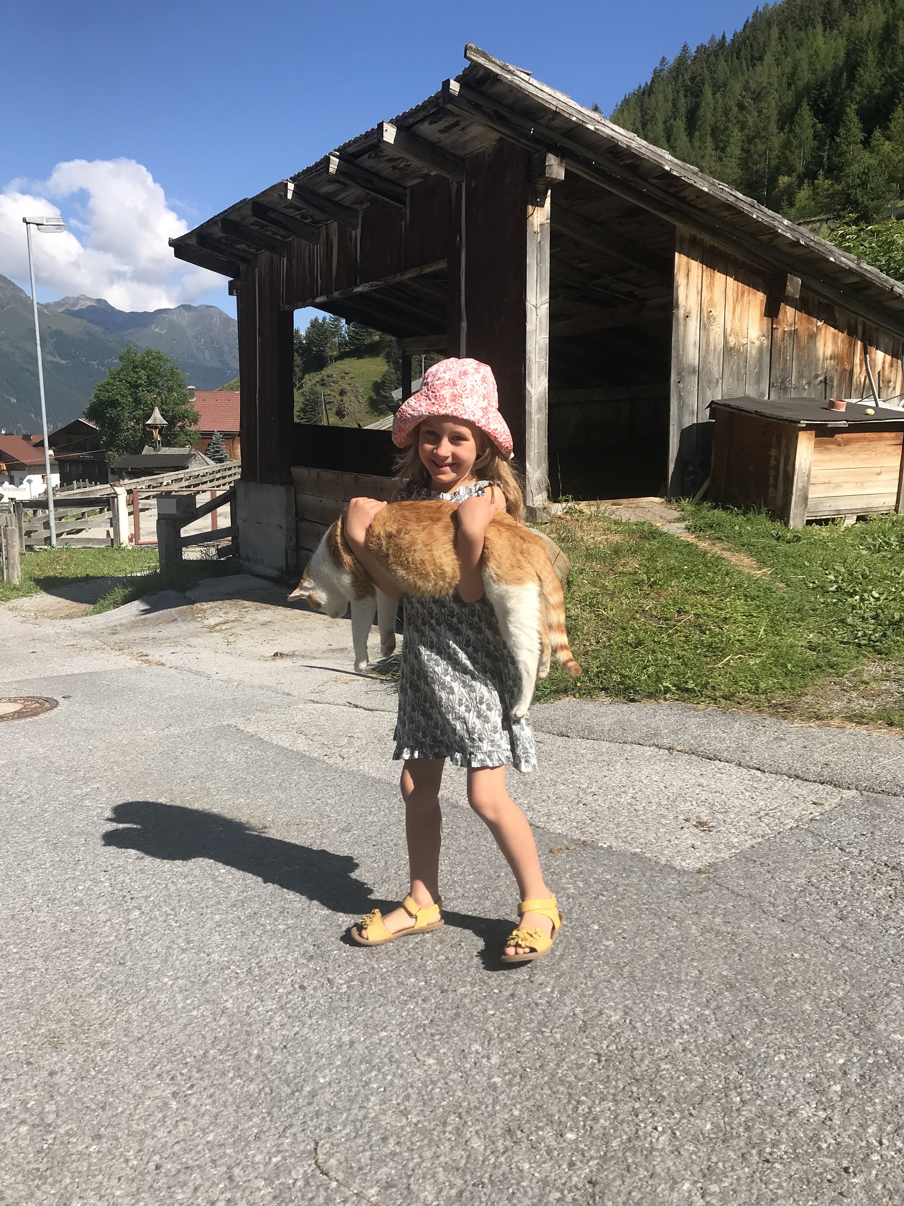 Bio und Reiterhof der Veitenhof I nostri animali Tomcat Emmi