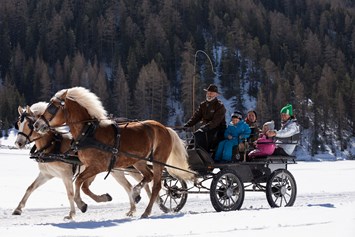 Ferien Bauernhof: Kutschenfahrt mit unseren Haflingern - Sommer und Winter möglich - Bio und Reiterhof der Veitenhof