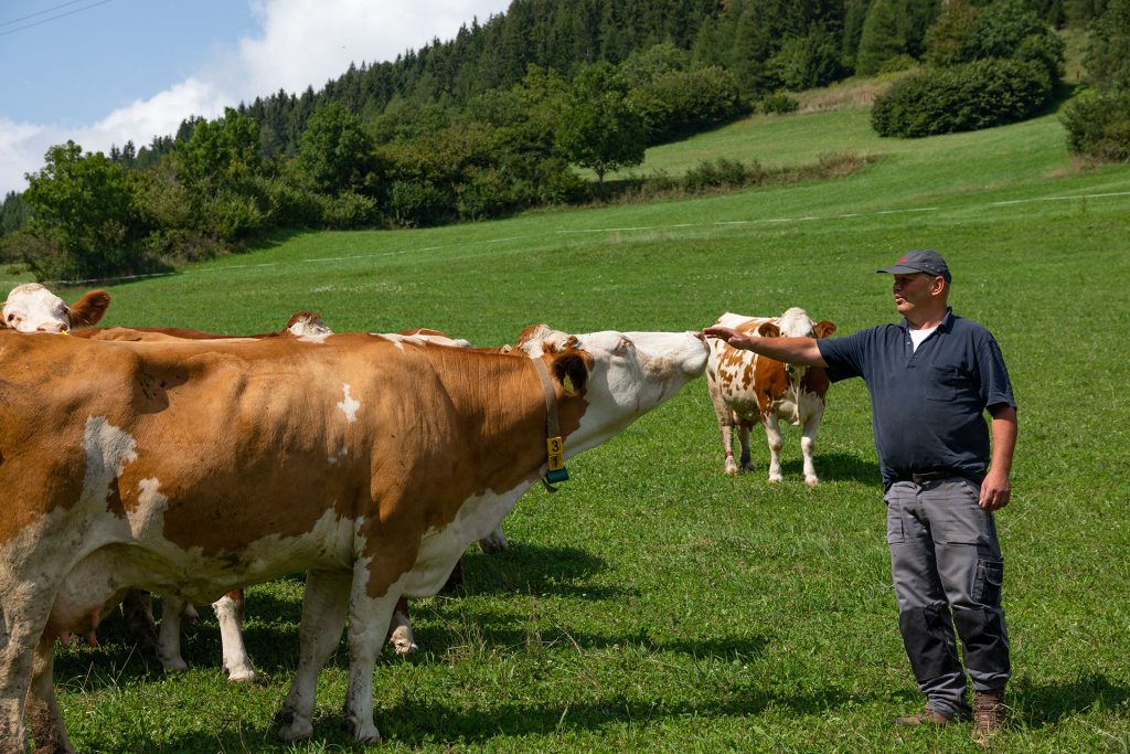 Ferien Bauernhof: Biohof Brunner