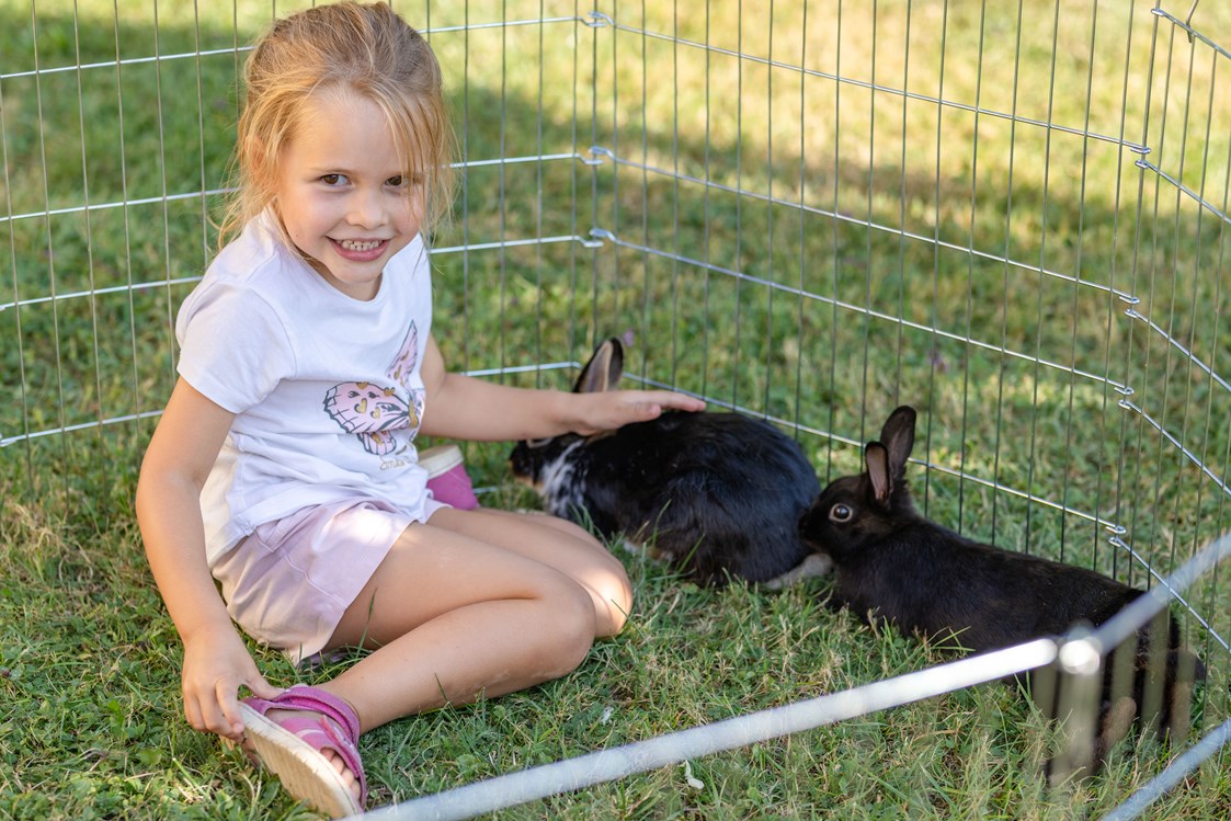 Ferien Bauernhof: Unsere Kaninchen - Bauernhof Malehof, Familie Struger