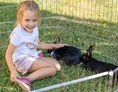 Ferien Bauernhof: Unsere Kaninchen - Bauernhof Malehof, Familie Struger