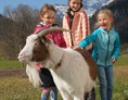 Ferien Bauernhof: Spaziergang mit unserem braven "Benni" - Urlaub am Foidlhof