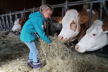 Ferien Bauernhof: Unsere Kühe füttern - Urlaub am Foidlhof