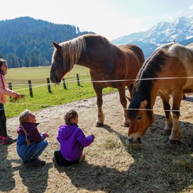 Ferien Bauernhof: Pferde "Kamilla" und "Kokosch" - Urlaub am Foidlhof
