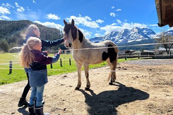 Ferien Bauernhof: Pferd "Indian" - Urlaub am Foidlhof