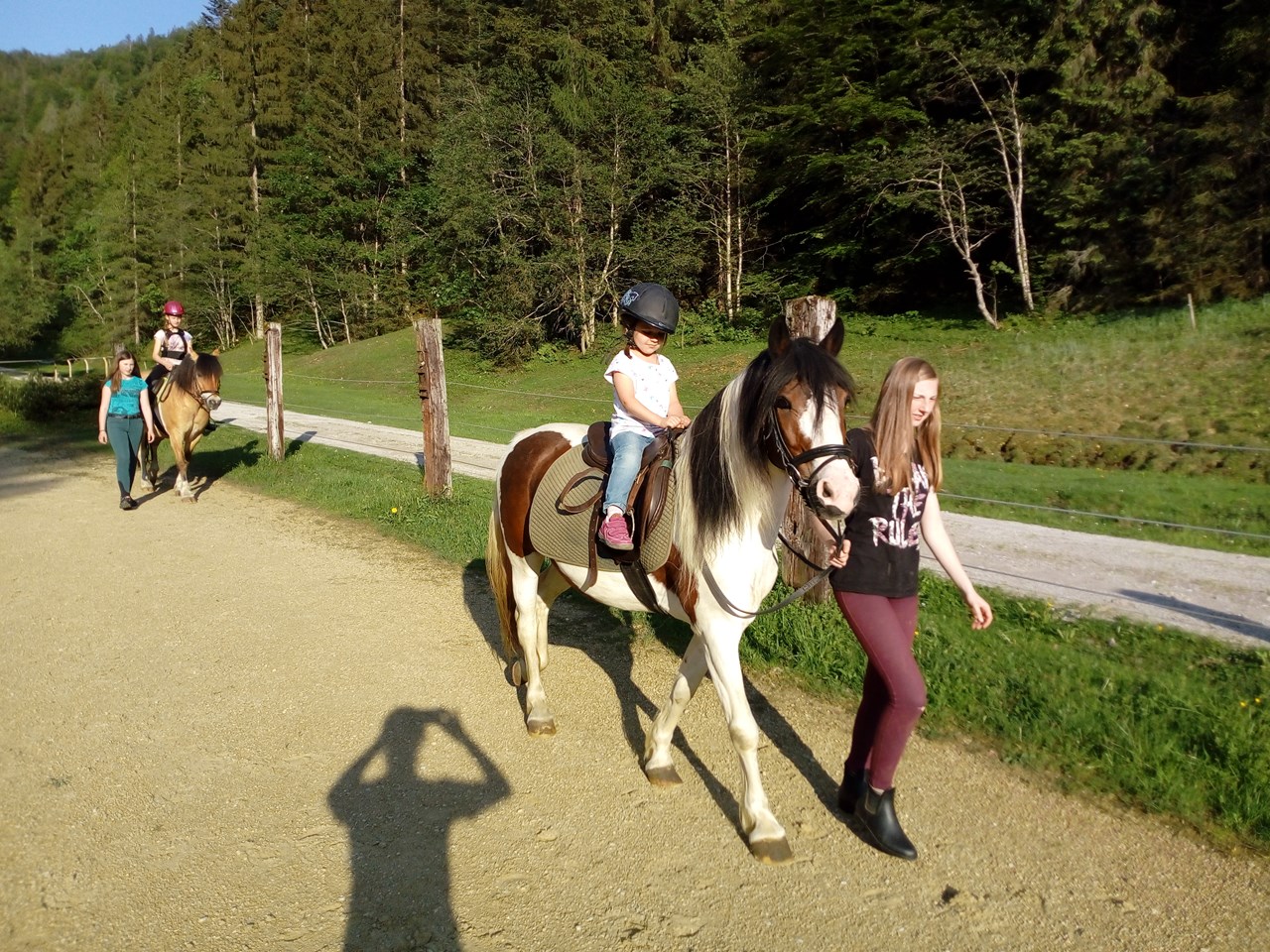 Urlaub am Foidlhof unsere Tiere Unsere Pferde "Kokosch", "Indian" und "Kamilla"
