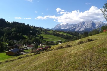 Ferien Bauernhof: Heuernte mit Blick auf das Dachsteingebirge - Auerhof