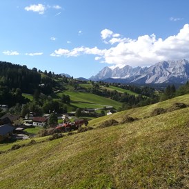 Ferien Bauernhof: Heuernte mit Blick auf das Dachsteingebirge - Auerhof
