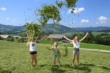 Ferien Bauernhof: Heuernte mal anders, Ausblickhof und Ausblick im Hintergrund - Ausblickhof