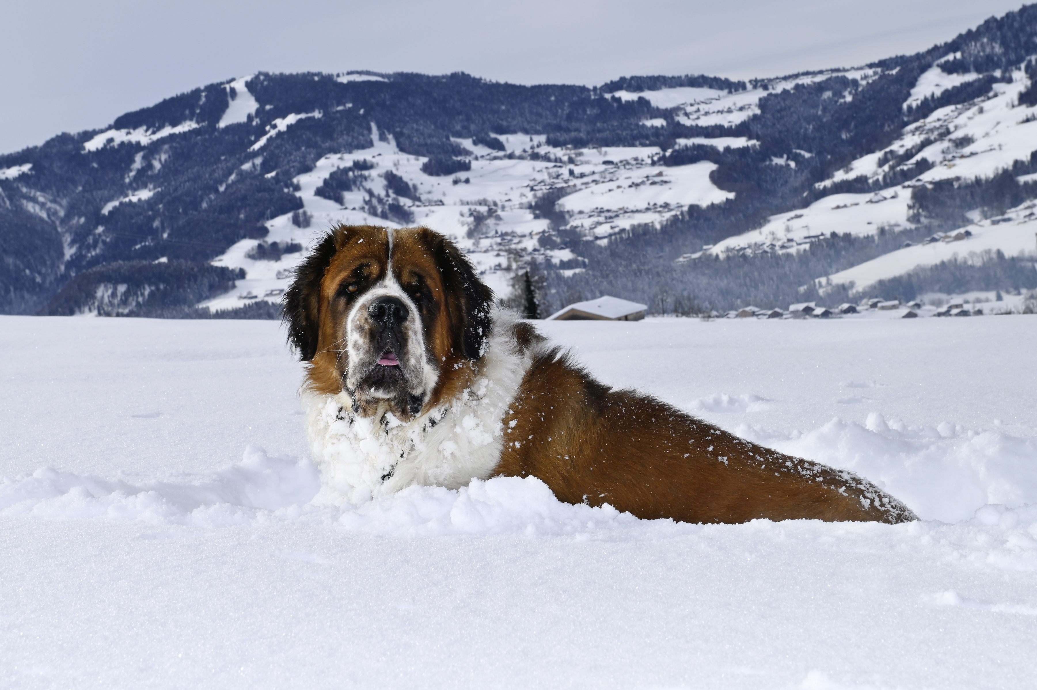 Ferien Bauernhof: Berni - Ausblickhof