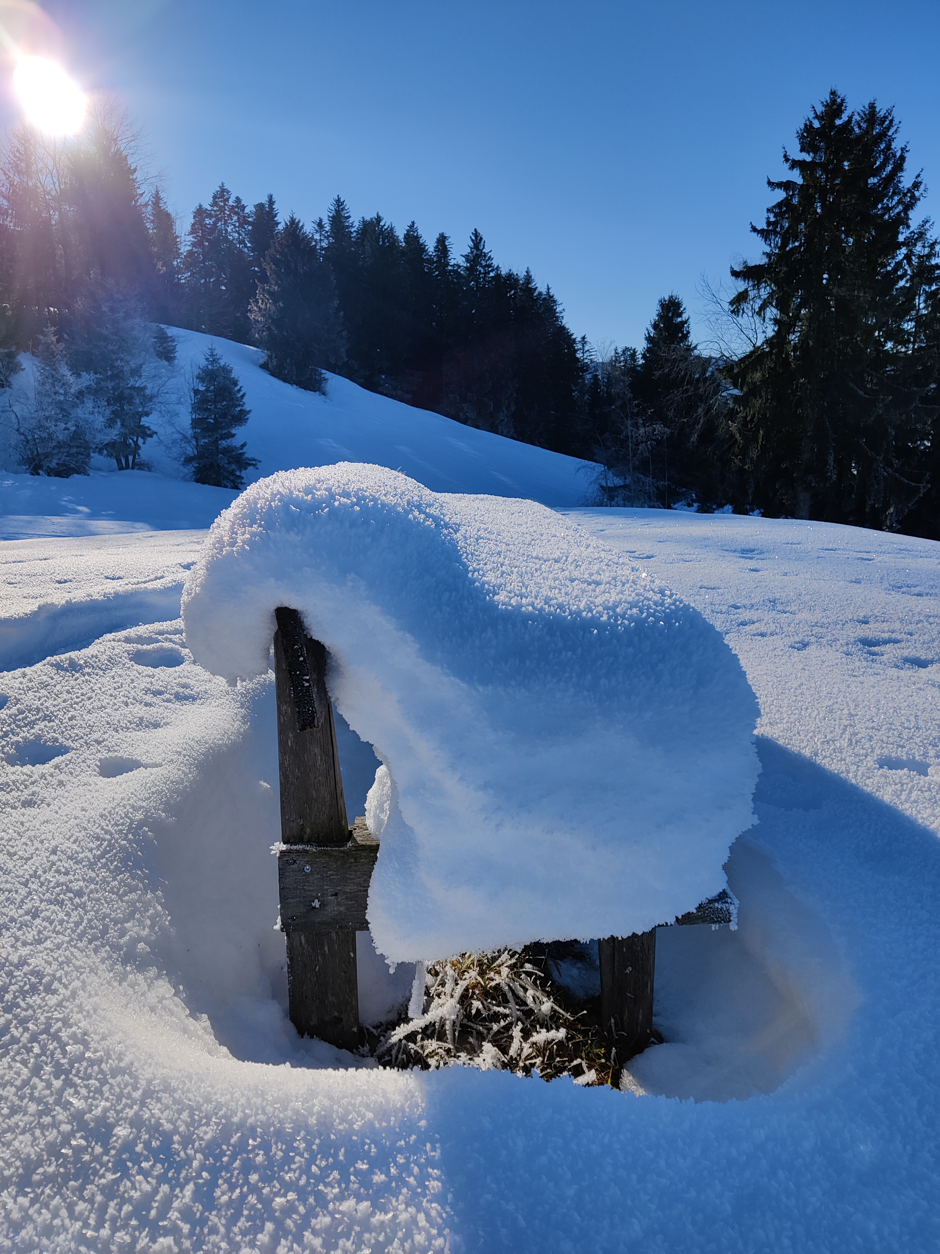 Ferien Bauernhof: Winter in Egg/Ebenwald - Ausblickhof