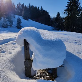 Ferien Bauernhof: Winter in Egg/Ebenwald - Ausblickhof