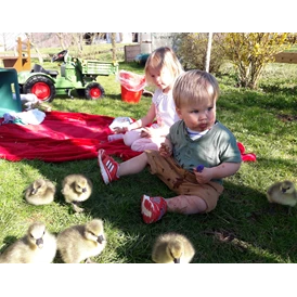 Ferien Bauernhof: Kinder mit kleinen Entenküken - Beim Heiß'n