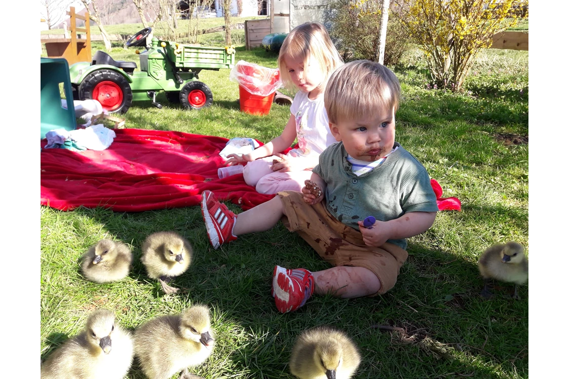 Ferien Bauernhof: Kinder mit kleinen Entenküken - Beim Heiß'n