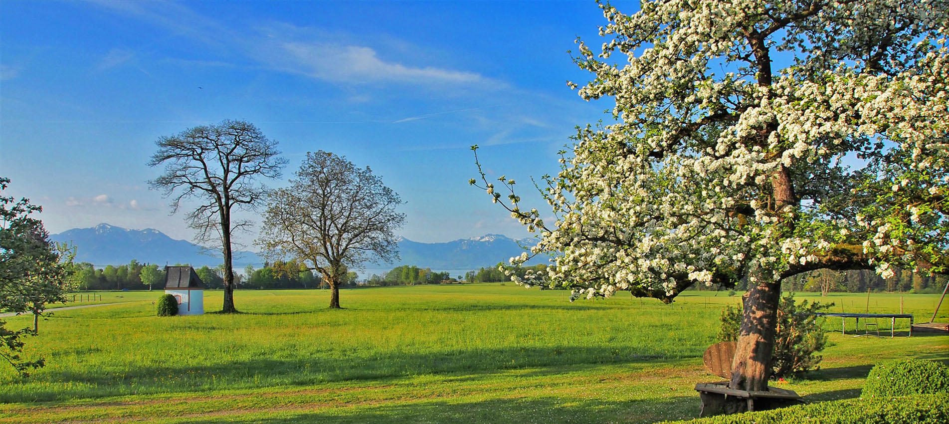 Ferien Bauernhof: Blick von der Terrasse bis zum Chiemsee und die südlich gelegenen Alpen - Moier-Hof LEX