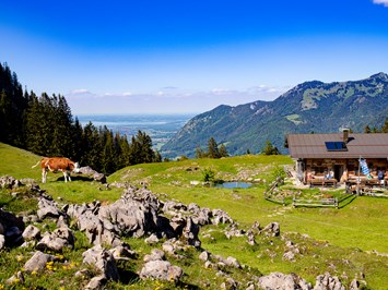 Stoibhof in Reit im Winkl im Chiemgau  Ausflugsziele Wandern zur Stoibenmöseralm