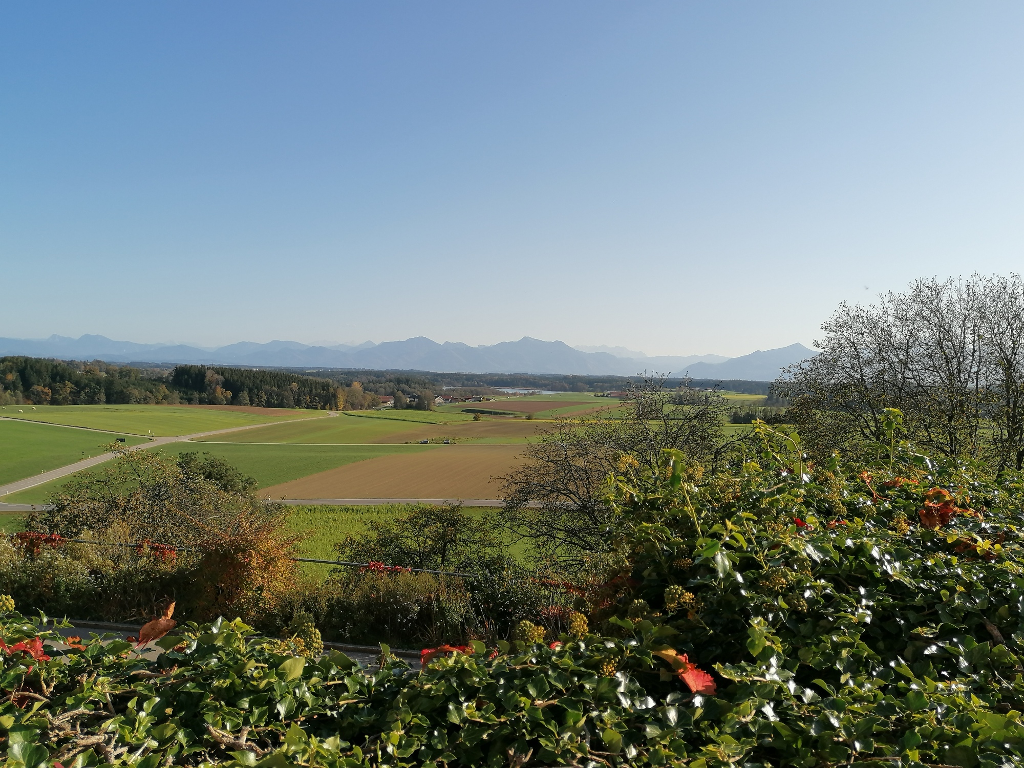 Ferien Bauernhof: Aussicht von Höslwang - Ferienhof Moyer