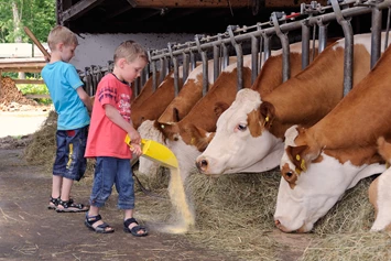 Ferien Bauernhof: Kühe füttern - Holznerhof 