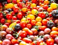 Ferien Bauernhof: Sortenvielfalt und natürlicher Geschmack in unserem Bio Gemüse. - Haarberghof