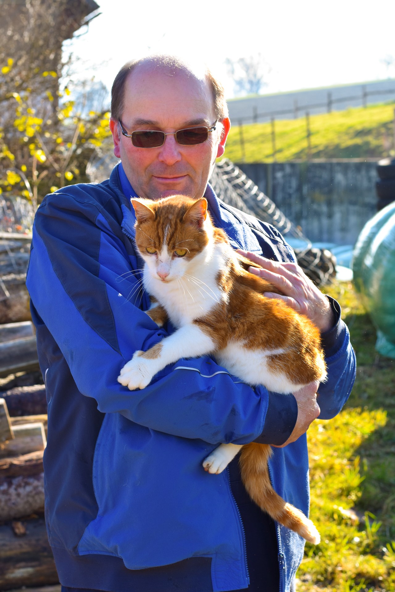 Straußenhof Halmer unsere Tiere Katzen