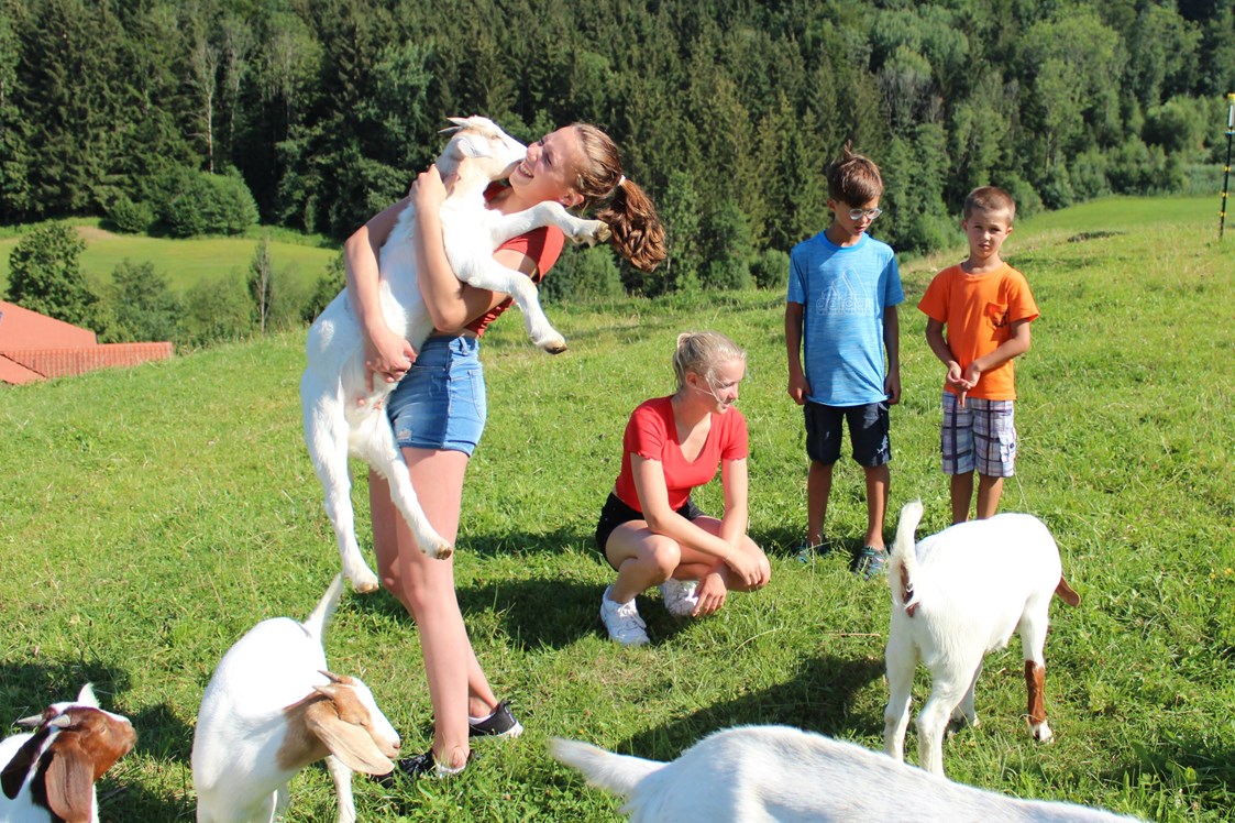 Ferien Bauernhof: Ziegen des Hofes - Hochgallinger Hof