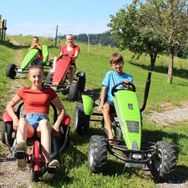 Ferien Bauernhof: Berg Tretfahrzeuge für Groß und Klein - Hochgallinger Hof