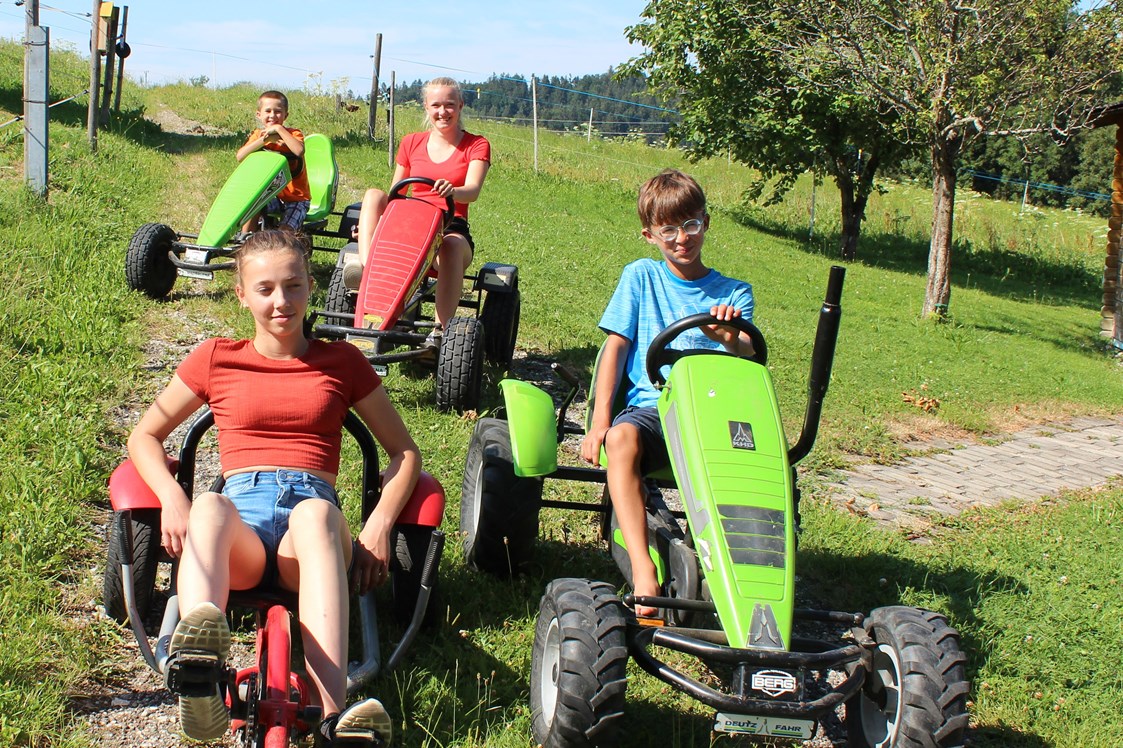 Ferien Bauernhof: Berg Tretfahrzeuge für Groß und Klein - Hochgallinger Hof