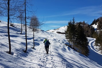 Ferien Bauernhof: Winter Skifahren, Langlaufen oder Wanderungen im Schnee - Hochgallinger Hof