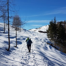 Ferien Bauernhof: Winter Skifahren, Langlaufen oder Wanderungen im Schnee - Hochgallinger Hof