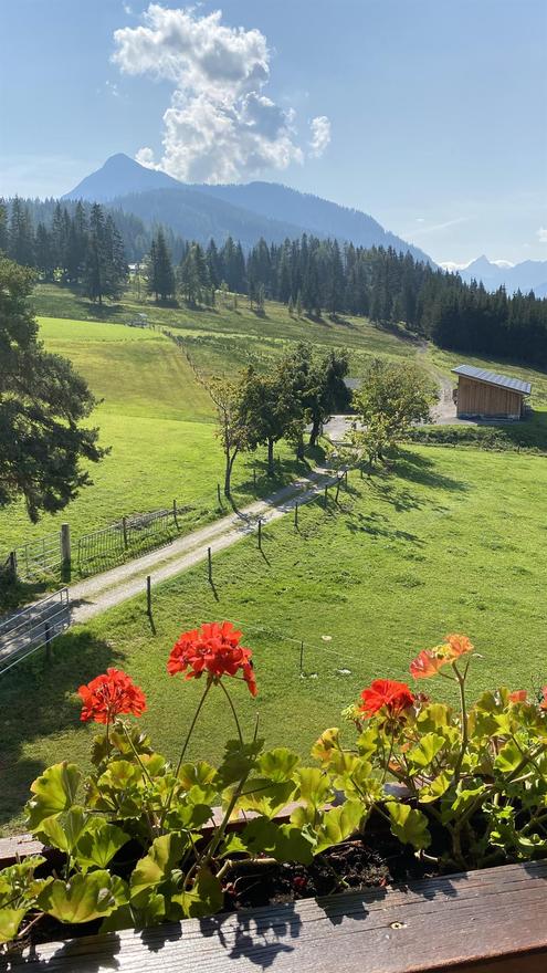 Urlaub auf dem Bauernhof - Bischofshofen - Egglbauer