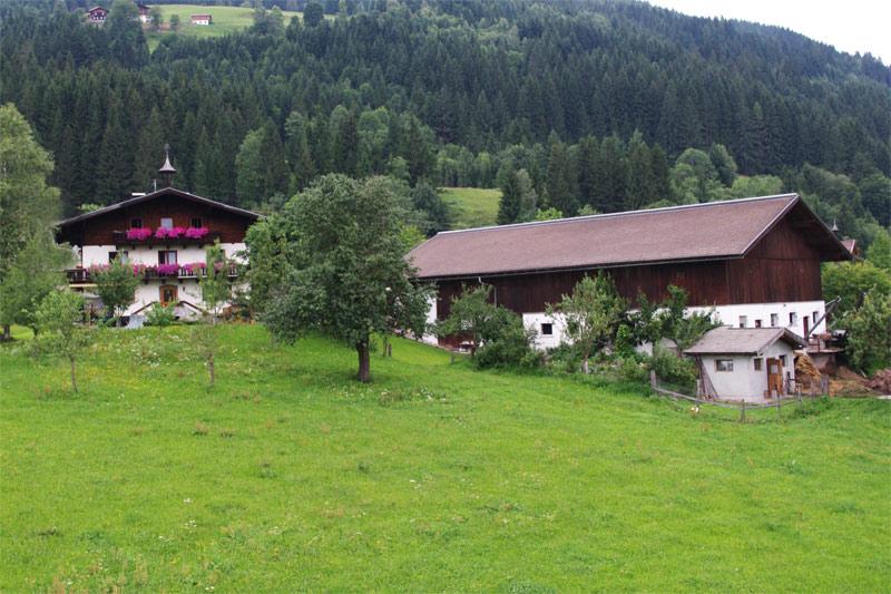 Urlaub auf dem Bauernhof - Bischofshofen - Schartlhof